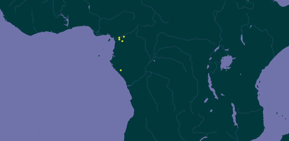 Varicorhinus werneri Holly, 1929